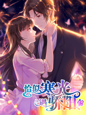 恰似寒光遇骄阳在线阅读