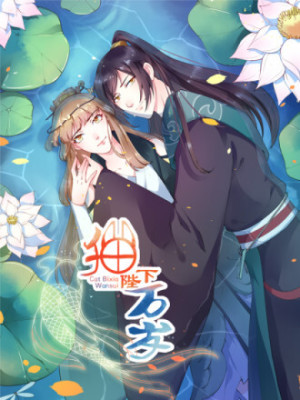 猫陛下，万岁！在线阅读